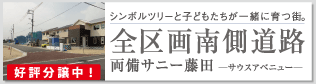 両備サニー藤田