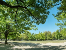 岡山県総合グラウンド