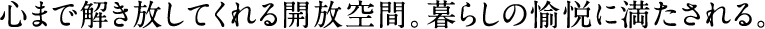 心まで解き放してくれる開放空間。暮らしの愉悦に満たされる。