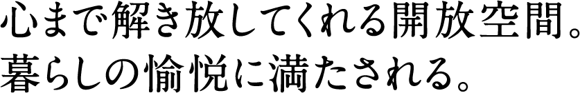 心まで解き放してくれる開放空間。暮らしの愉悦に満たされる。