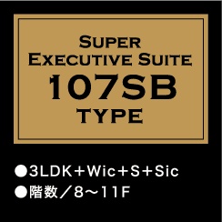 super exective suite 107SB TYPE