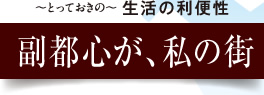 ～とっておきの～生活の利便性 副都心が、私の街